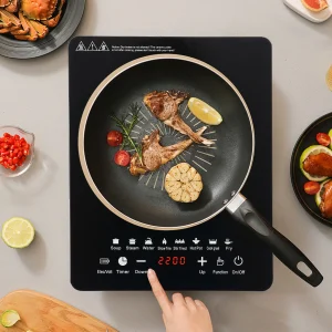 110V 750W Portable Induction Cooktop with Timer